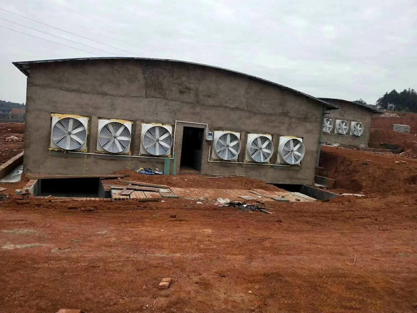 负压鼓风机 负压鼓风机